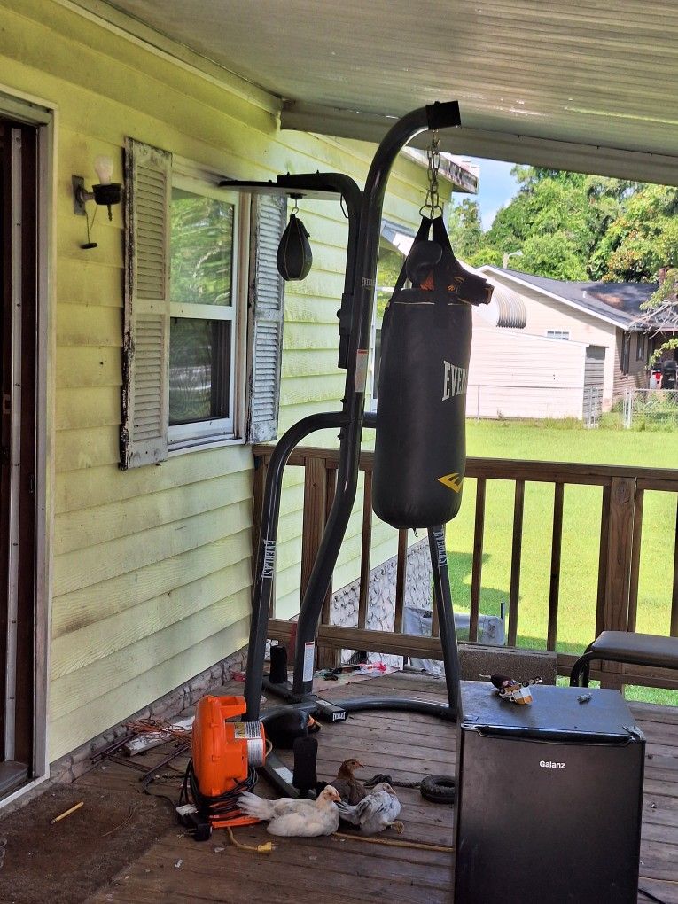 Punching Bag & Stand