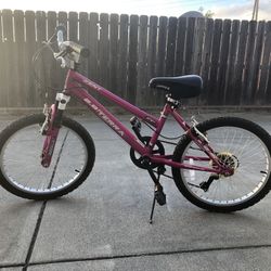 Kids Bike 20 Inch Kent 2.0