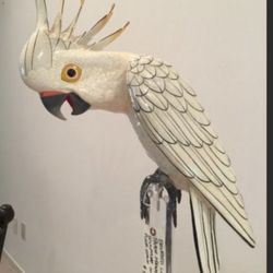 Amazing ART- life size parrot/cockatoo on lucite pedestal