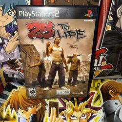 25 to Life PlayStation 2 Game
