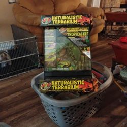 naturalistic terrarium