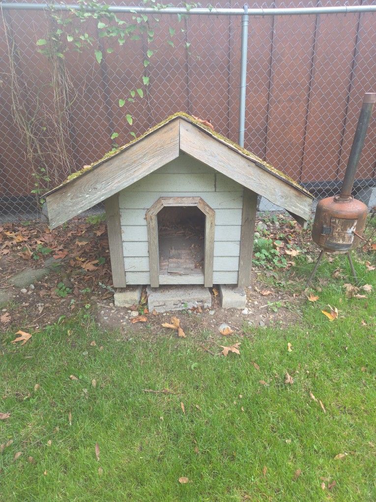 Dog House