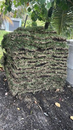 St Augustine Sod Pallet 
