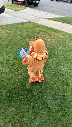 Toddler Lion costume