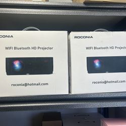 Projector