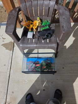 Fish Tank & Accessories
