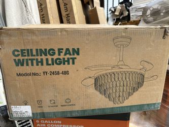 Ceiling Fan With Light