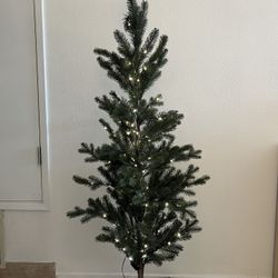 Christmas Tree for sale