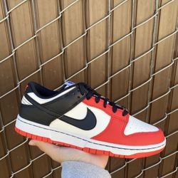 Nike Dunk Low EMB Size 9.5 And 10