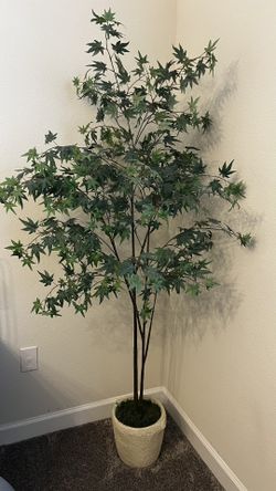 6ft Tall Fake Plant Studio McGee