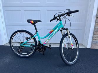 Schwinn Bike (Brand New!)