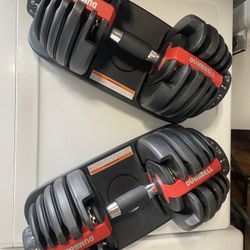 Adjustable Dumbbells 