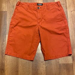 Express Flat Front Shorts