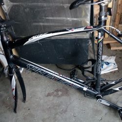 Specialized Alliez