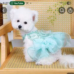 Fancy For Special Occasion Dog Dress