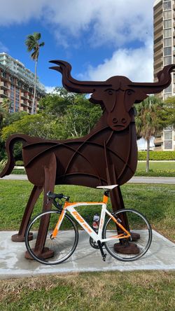 Grigiobikes Road Bike White and Orange