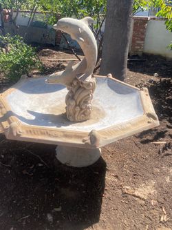 Dolphin fountain