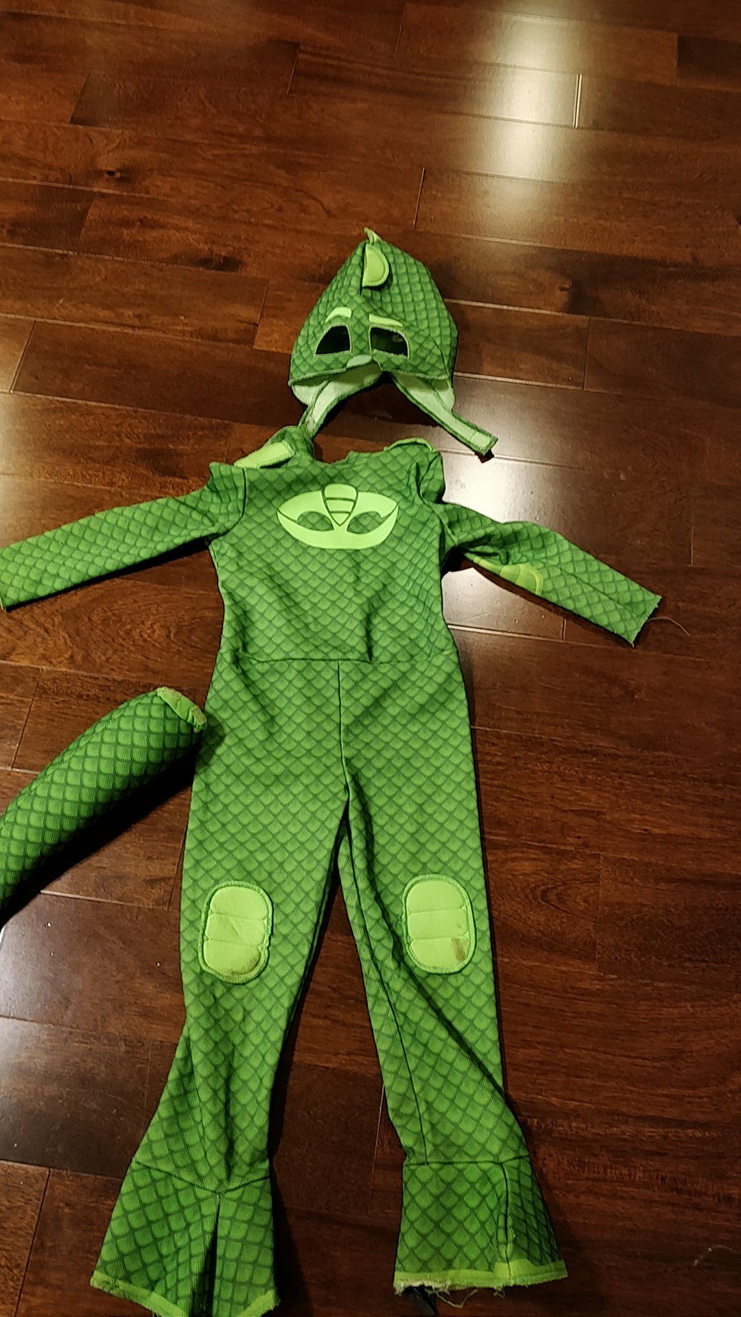 PJ Masks Gecko Halloween costume for ages 4-5