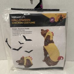 Pet Costume