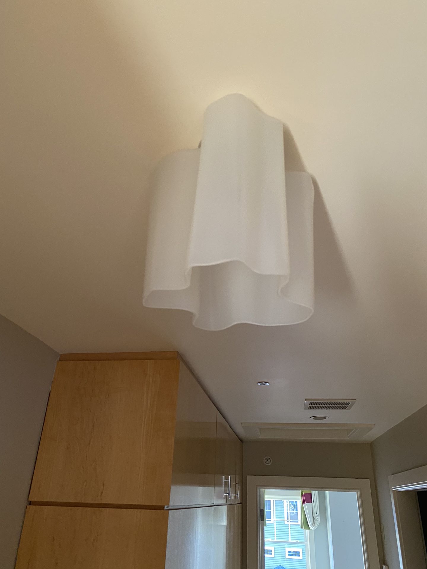 Tulip Ceiling Light
