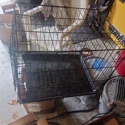 Small Dog Crate 