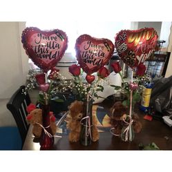 Valentine’s Day Gift 