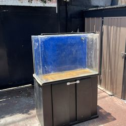 Fish Tank For Sell