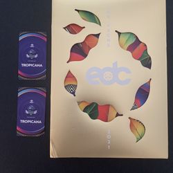 EDC 2021 Las Vegas General Ticket ONLY NO SHUTTLE ANYMORE