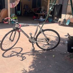 21 Speed Bike 
