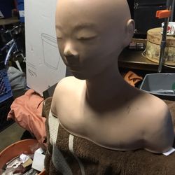Manikin head and shoulders