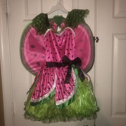 Girls Costume Sz Small/Medium 2-Piece Dress/ Wings