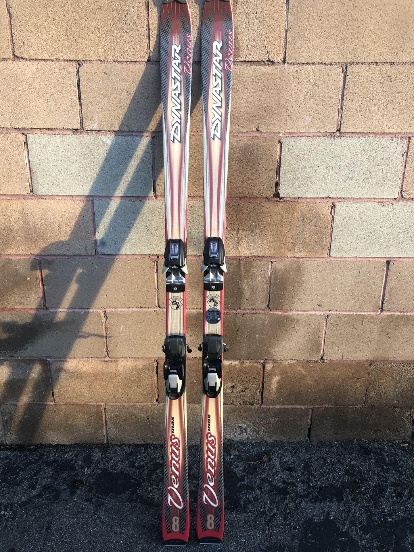 Dynastar Venus Max Skis