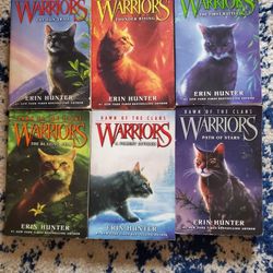 Dawn Of The Clans:Warriors Series