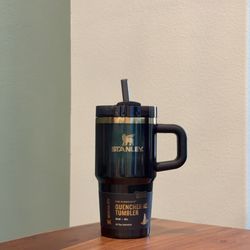 Stanley 20 oz Stainless Steel H2.0 Flowstate Quencher Tumbler Elphaba For Good