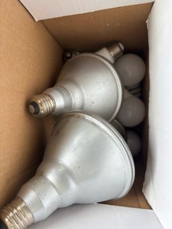 Fixtures & Bulbs