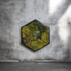 Preserved Moss Wall Art in Wood Frame