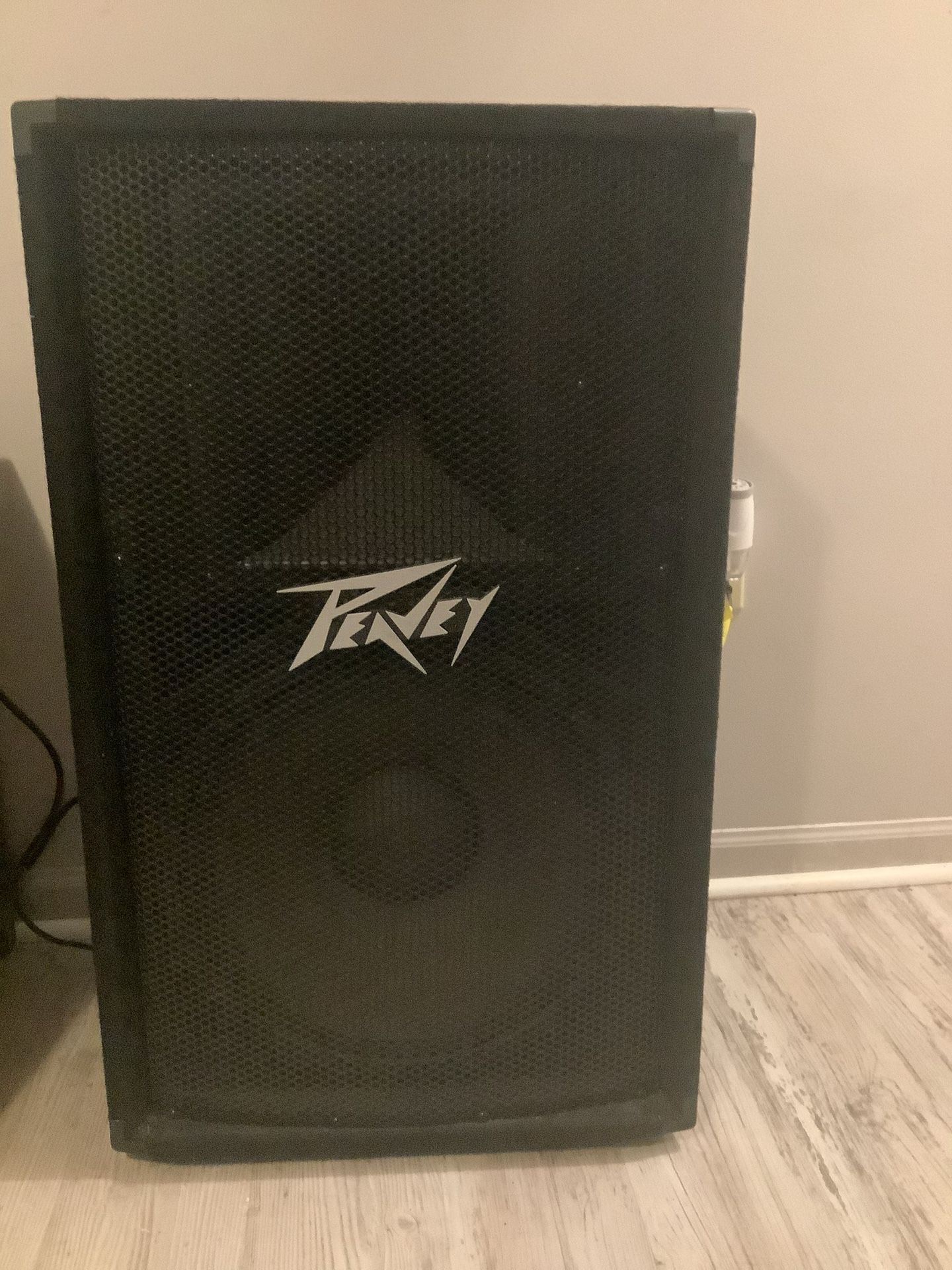 Peavey PV 115 2-Way Speaker