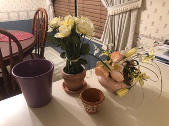Flower arrangements and pots