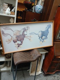 Stewart Moskowitz Vintage Horse Print 1978 Loose Appaloosa's