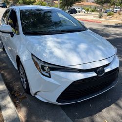 2023 Toyota Corolla