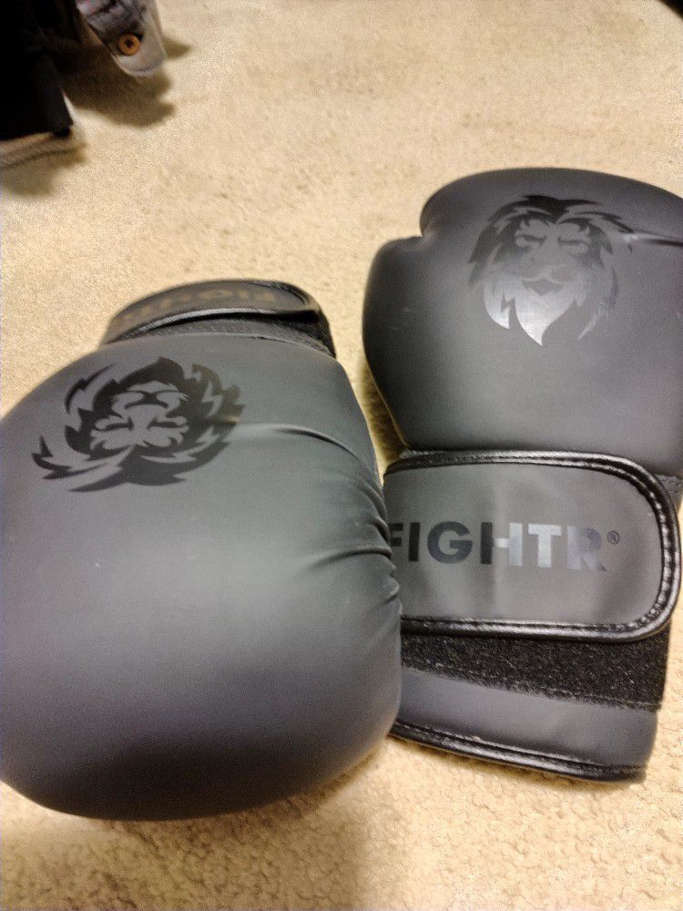 FIGHTR Premium Punching Bag And Boxing Gloves