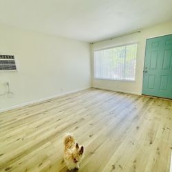 2 Beds 1 Bath Townhouse 