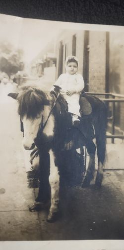 Antique Photo Black N White 