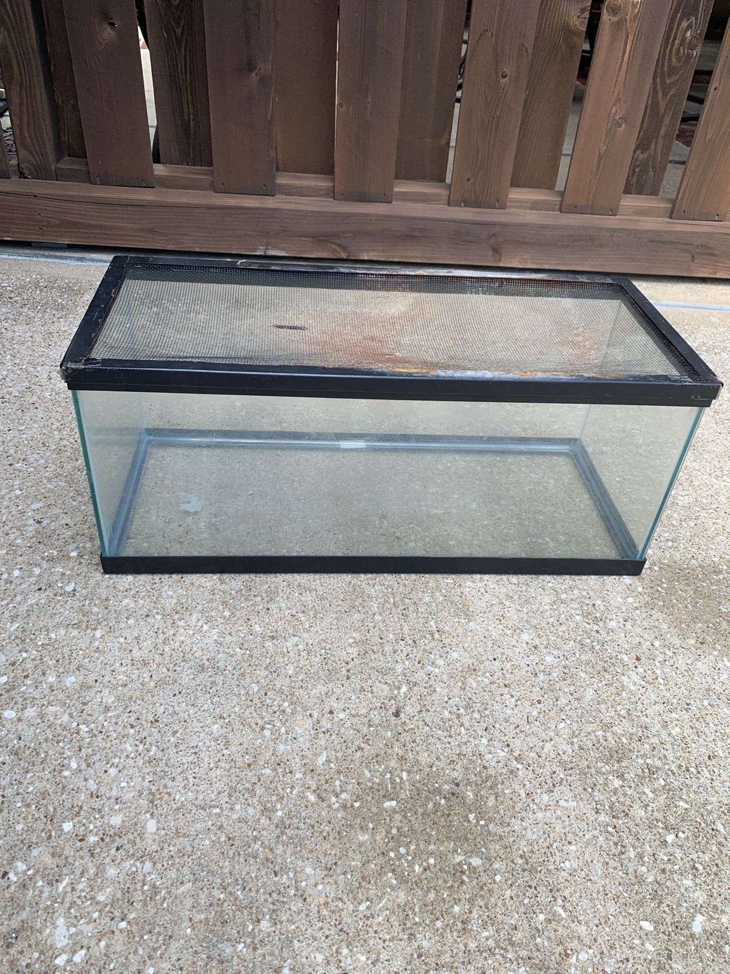 20 gallon terrarium/ aquarium