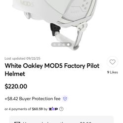 Snowboarding Ski Helmet