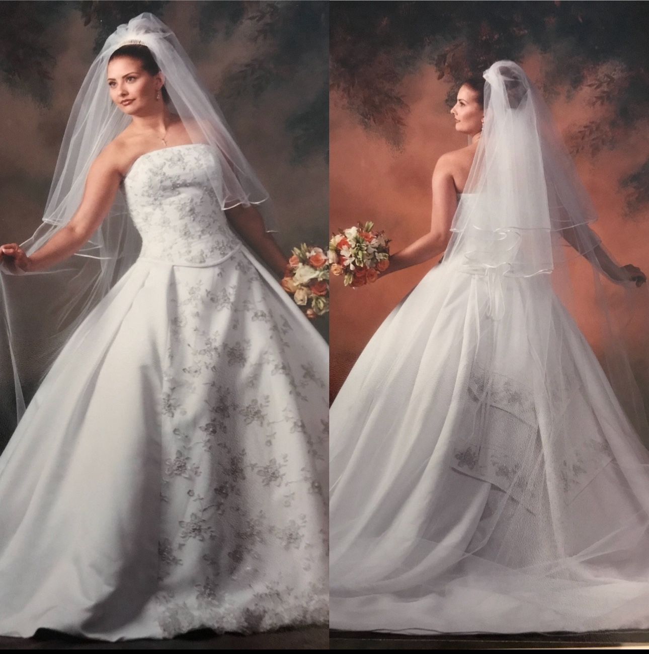 Bride Wedding Dress & Veil