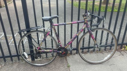 Schwinn 7 speed titanium Road bike