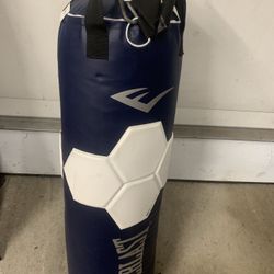 Everlast Heavy Punching Bag  