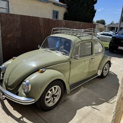 68 Beetle