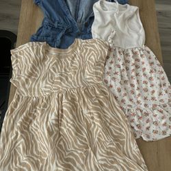 Toddler 4T Dresses And Overall Dress